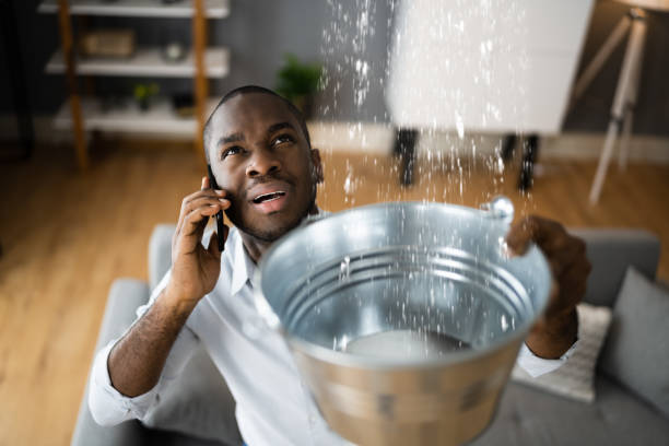 Best Flood damage cleanup  in Lake Nacimiento, CA