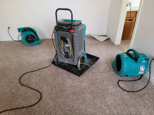 Best Commercial water damage restoration  in Lake Nacimiento, CA