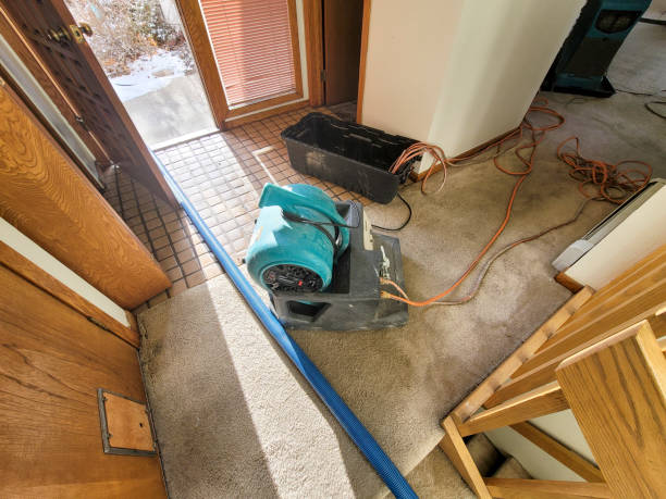 Lake Nacimiento, CA Water damage restoration Pros