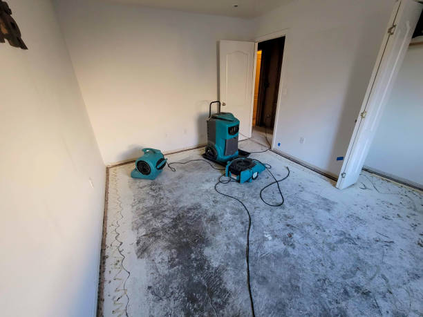 Best Basement water damage restoration  in Lake Nacimiento, CA