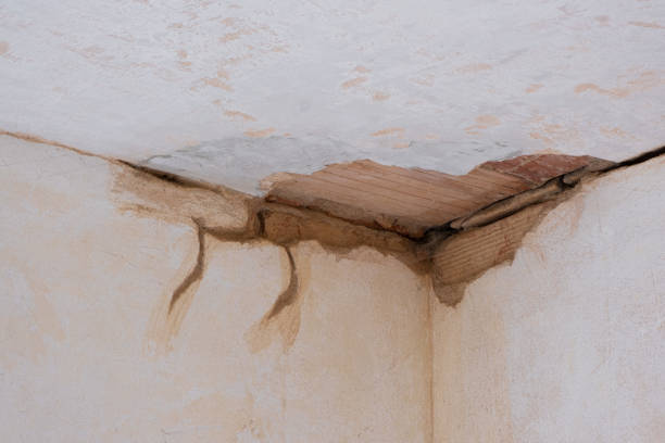 Best Residential water damage restoration  in Lake Nacimiento, CA