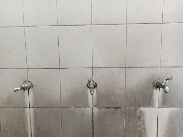 Best Water damage restoration near me  in Lake Nacimiento, CA