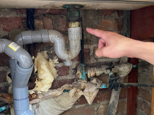 Best Sewage cleanup and water damage restoration  in Lake Nacimiento, CA